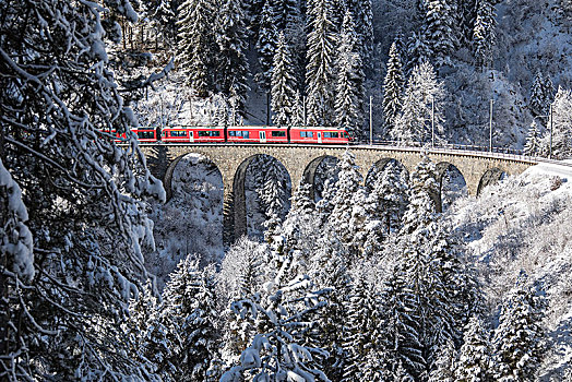高速列车,山谷,格劳宾登,瑞士