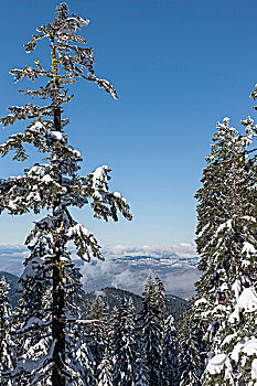 风景,阿什兰,攀升,滑雪胜地,南方,俄勒冈,美国