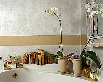 墙壁,浴室,苍白,白色,洗,生动,黄金,条纹