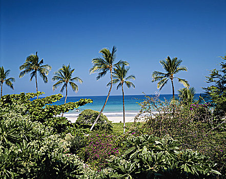 夏威夷,风景,漂亮,岛屿,海滩,大幅,尺寸