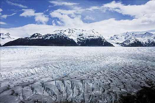 冰河,巴塔戈尼亚,冰盖,托雷德裴恩国家公园,巴塔哥尼亚,智利