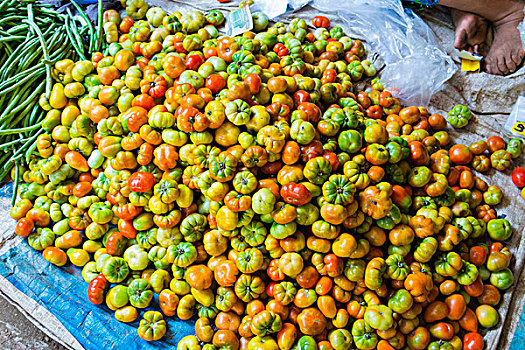 缅甸,蒲甘,市场,女人,销售,西红柿