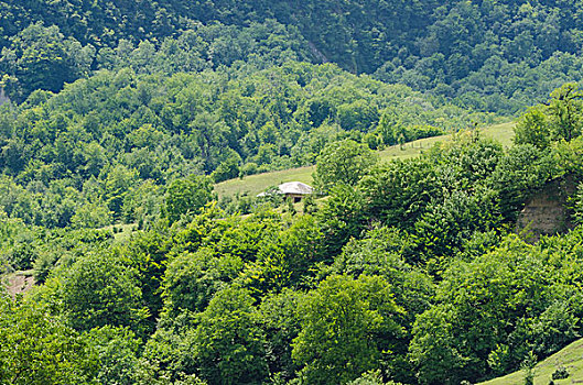 山景,夏天