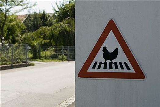 警告标识,母鸡,人行横道,小,乡村,北方,慕尼黑,靠近