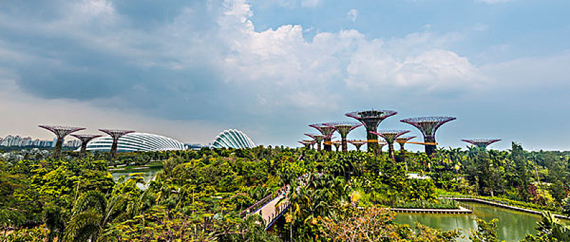 小树林,花,圆顶,温室,花园,新加坡,亚洲