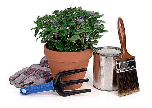 盆栽,园艺工具,手套,粉刷,油漆桶