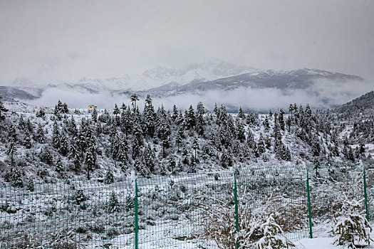 四川,黄龙,雪山,寒冷,村庄,户外,原野,苍凉,冬季,雪,冬雪,大地,天空,山,树木