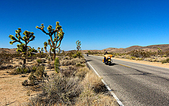 摩托车手,乘,道路,约书亚树国家公园,加利福尼亚,大幅,尺寸