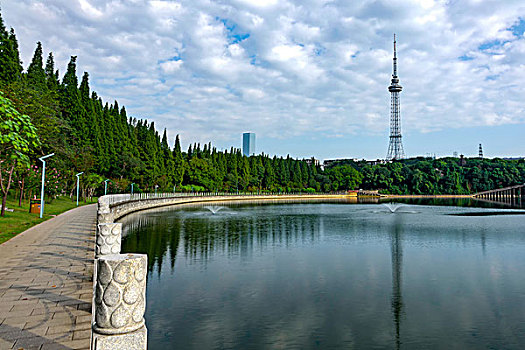 湖光美景,湖光美色,柔美湖岸线