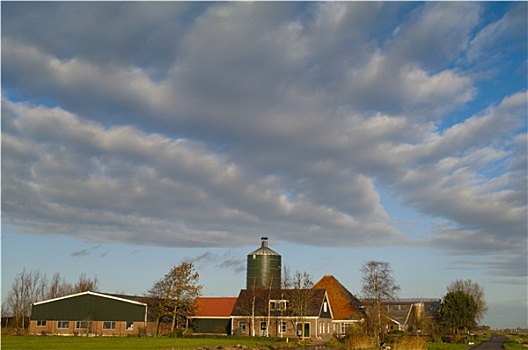 荷兰,农场,阴天