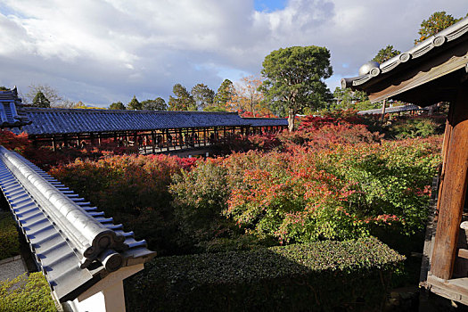 日本京都东福寺