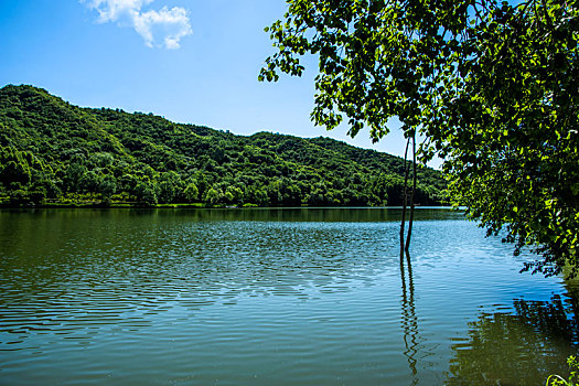 玉渡山,湖,水面