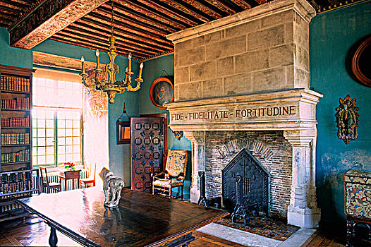 法国,城堡,路易八世,房间,涂绘