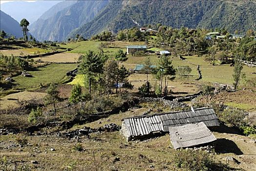 山谷,昆布,珠穆朗玛峰,区域,尼泊尔