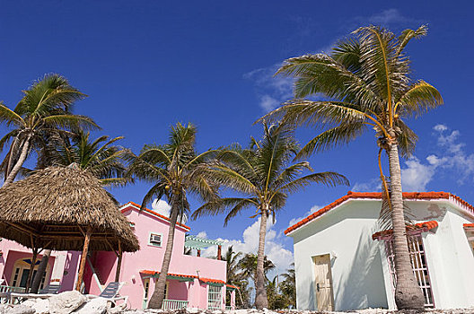 房子,拉哥岛,古巴
