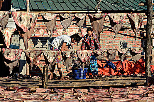 亚洲,缅甸,干燥,鱼,制作