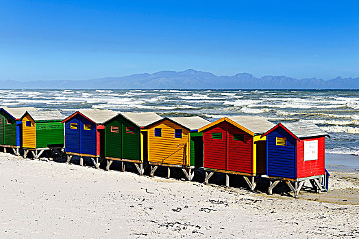 彩色,海滩,屋舍,沙滩,福尔斯湾,西海角,南非,非洲