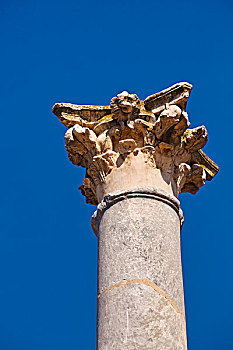 柱子,科林斯式,首府,罗马人,剧院,世纪,梅里达,巴达霍斯省,西班牙