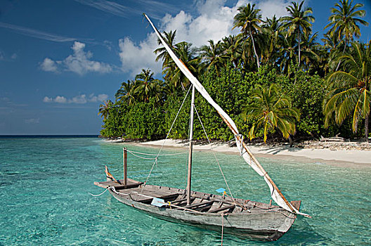 马尔代夫,北方,马累环礁,岛屿,传统,船,正面,手掌,排列,白沙滩