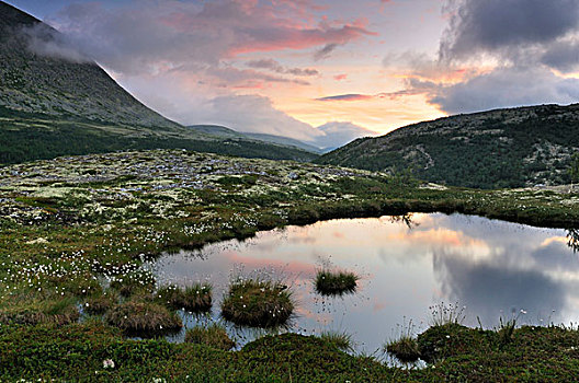 高山湖,风景,靠近,国家,公园,挪威,斯堪的纳维亚,欧洲
