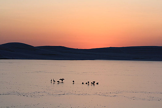 日出前水面上有鸟的湖光山色