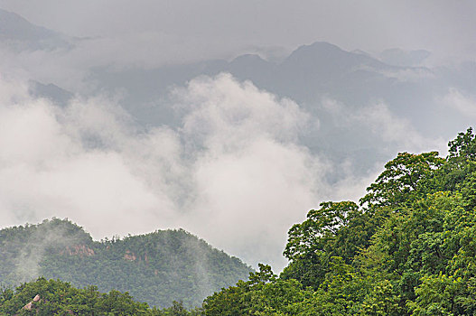 弥漫着雾气的山涧