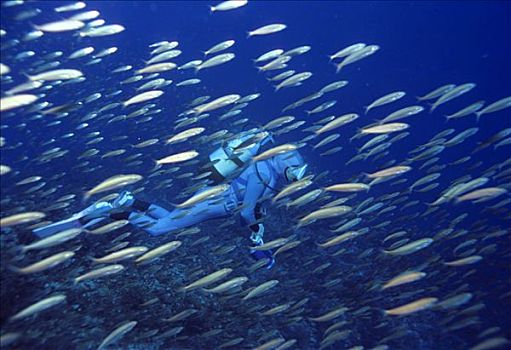 潜水,游动,土耳其,地中海