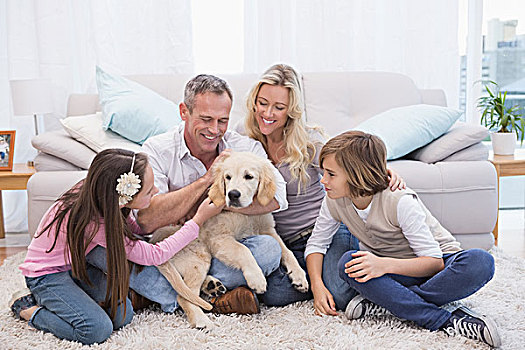 微笑,家庭,爱抚,黄色拉布拉多犬,地毯