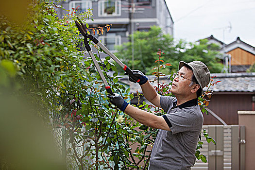 一个,男人,工作,花园