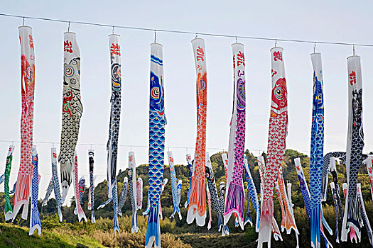 鲤帜,风,袜子,日本,亚洲