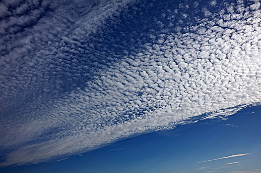 绒毛状,云,卷积云,梅克伦堡前波莫瑞州,德国,欧洲