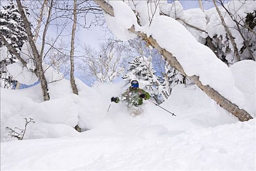 屈膝旋转式滑雪,大雪山国家公园,北海道,日本