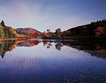 缅因,阿卡迪亚国家公园,秋色,树林,反射,水塘,大幅,尺寸