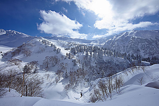 山地,风景,树,积雪,斜坡,阴天