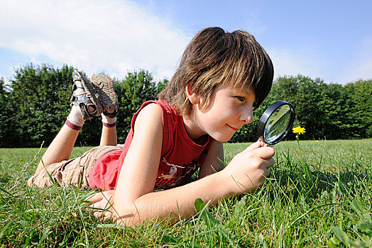 男孩,9岁,躺着,草地,检查,花,放大镜,图林根州,德国,欧洲