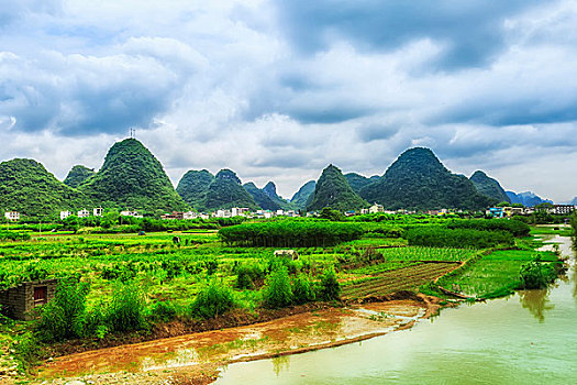 风景,田园