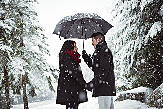 微笑,情侣,伞,站立,树林,下雪