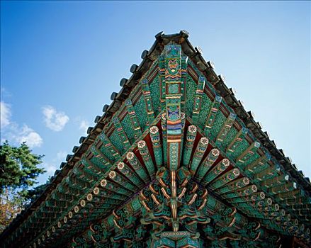传统,屋顶,韩国