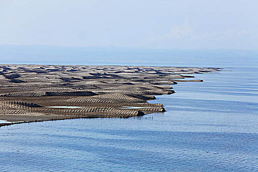 青海湖鸟岛