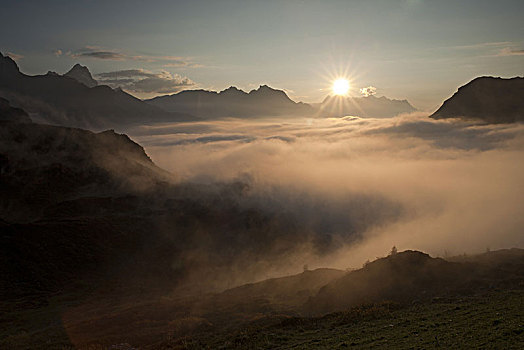 秋天,雾,阿尔卑斯山,瑞士