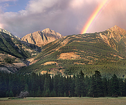 彩虹,上方,山脉,碧玉国家公园,艾伯塔省,加拿大