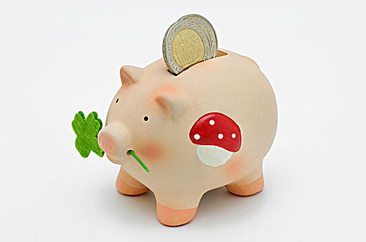 吉祥猪,小猪,硬币,投币孔