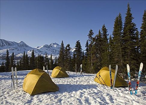 帐篷,滑雪,冬天,露营,白色,后面,小路,不列颠哥伦比亚省,加拿大