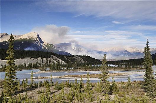 森林火灾,萨斯喀彻温,河,班芙国家公园,艾伯塔省,加拿大