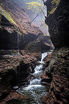 瀑布,桥,峡谷,沃特金斯戈兰,州立公园,纽约,美国