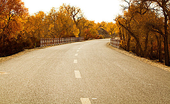 沙漠公路