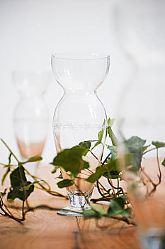 玻璃花瓶,常春藤