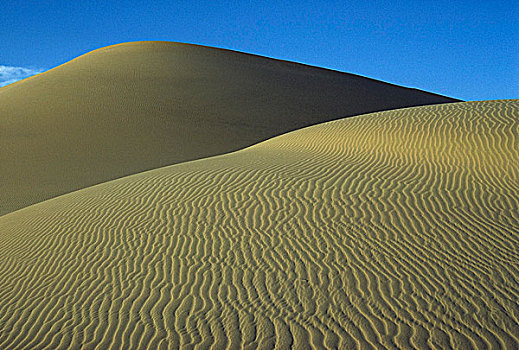 沙丘,阿尔及利亚,撒哈拉沙漠