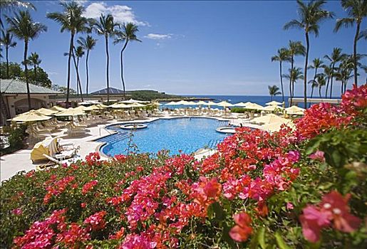 夏威夷,曼内雷,湾,海滩,酒店,水池,风景,海洋,叶子花属,前景,热带,棕榈树