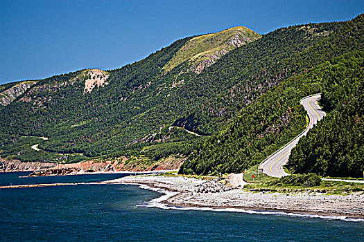 海岸,小路,布雷顿角岛,新斯科舍省,加拿大
